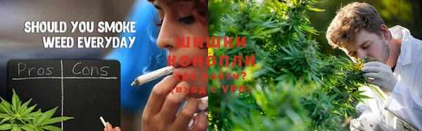 кокс Елизово