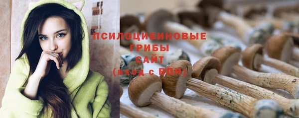 mix Корсаков