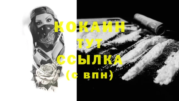 кокс Елизово