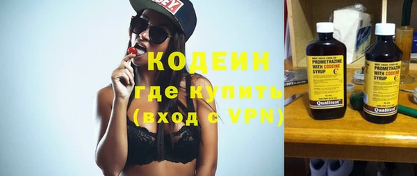 дживик Елабуга