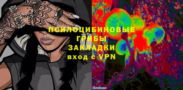 дживик Елабуга