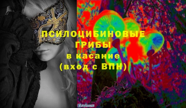 кокс Елизово