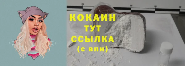 дживик Елабуга