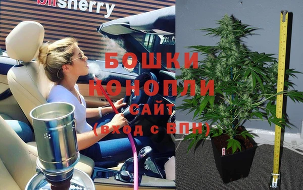 кокс Елизово