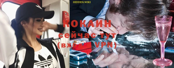 таблы Ельня