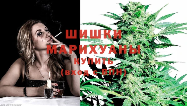 таблы Ельня