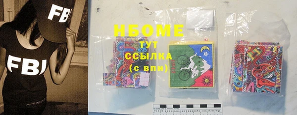 дживик Елабуга