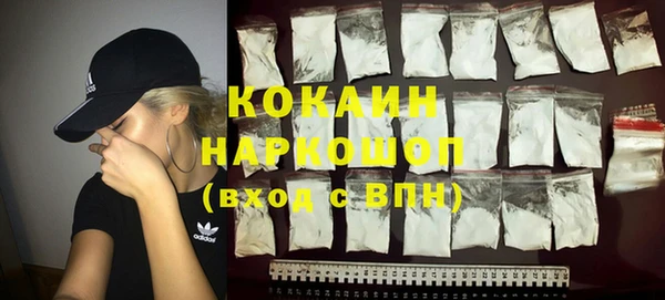 кокс Елизово