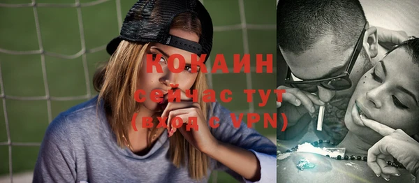 таблы Ельня